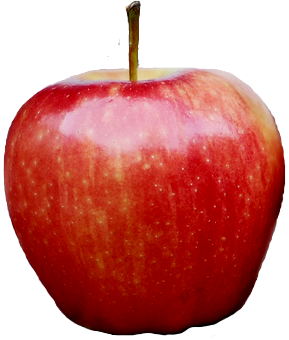 jablko.png
